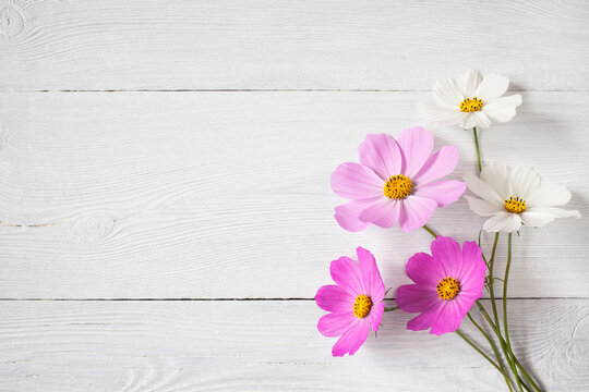 Bouquet of pink and white cosmos flowers on a wooden background. Postcard for congratulations, space for text.