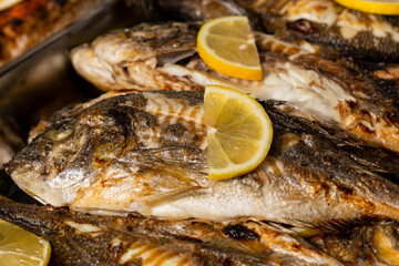 Delicious grilled fish