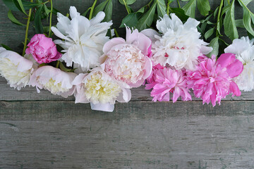Naklejka na ściany i meble Frame of beautiful pink and white peonies on rustic wooden background; space for text