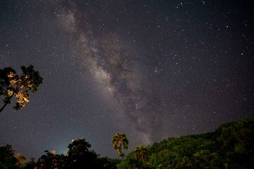 Natural landscape with the milky way and trees. Venecia, Antioquia, Colombia.
