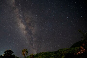 Natural landscape with the milky way and trees. Venecia, Antioquia, Colombia.