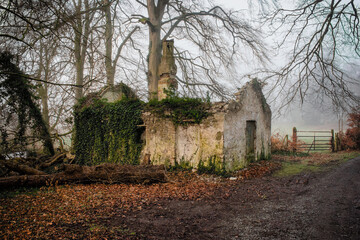 Old Cottage Ruins in Forest