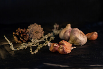 Garlic, dried wormwood and fir cones. Autumn , garlic, cones, wormwood, on a dark background.