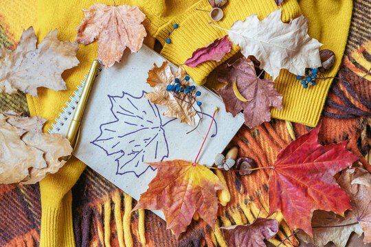 Fallen dry leaves, album with maple leaf picture. Autumn mood concept