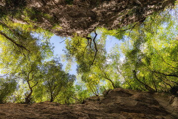 Gorges of Lacerno, Italy. Deep gorge surrounded by millenary rocks, viewed from below. On the edges the luxuriant vegetation and the background sky.