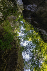 Obraz premium Gorge seen from below.