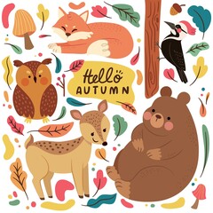 flat  autumn forest animals vector design illustration