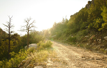 Fototapeta na wymiar A dirt road leading into a canyon during sun rise