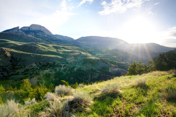 Naklejka na ściany i meble A grassy hillside sunrise in Wyoming Big Horn National Forest. Daybreak wallpaper desktop