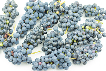 bunches of blue grapes on a white background. Harvest of wine berries on the table. Top view photo