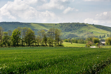 A Green Spring Landscape, near Lewes, in Sussex