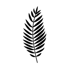 black sketch of a plant leaf palm-shaped encephalitis for a stencil on a white isolated background. silhouette of a leaf of a tropical plant