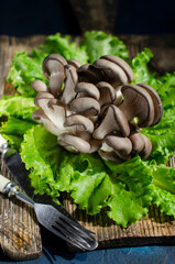 fresh oyster mushrooms on a wooden board with salad