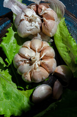 heads of garlic on a table with fresh herbs