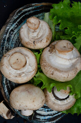 fresh champignons with fresh herbs on the table