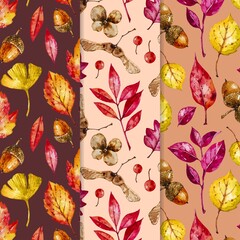 watercolor autumn pattern collection vector design illustration