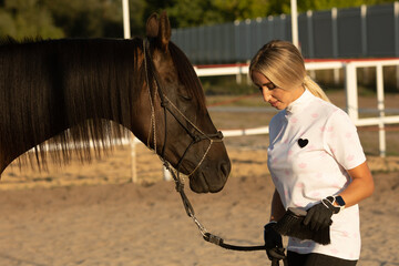 Obraz premium Female horse owner brushing the shiny horse coat of a Palomino horse. Brushing off the dust from the horseback during the daytime. Sunlight hitting the horseback. Cleaning and taking care of horses.