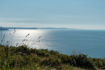 bright reflected sunshine seascape view from the pembrokeshire coast path towards dinas head and strumble head viewed through a line of grass seed heads