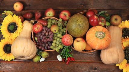 Autumn background and harvest in the village with seasonal berries, pumpkins, apples, rowan, grapes and natural flowers on a wooden background, copy space, flat lay. Happy Thanksgiving concept