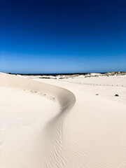 sand dunes on the beach - obrazy, fototapety, plakaty