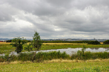 Walk along Hallam Main Drain.