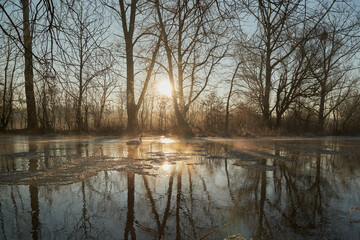 Zima nad rzeką. Po mglistej toni sunie biały łabędź. Mroźny, słoneczny poranek.