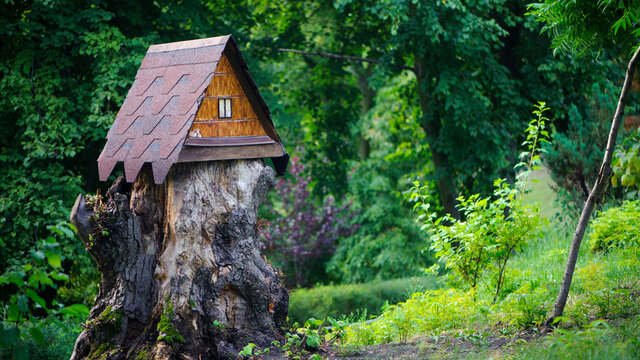 house in the forest for animals and birds. Wooden bird house in the summer park. on an tree stump. Old wooden feeder for birds on a tree, empty bird's feeder caring about wild birds in cold season.