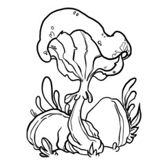 children's coloring. coloring book. tattoo. linear art. mushrooms with leaves and stones. magic mushrooms.