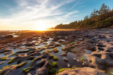 Botanical Beach on the West Coast of Pacific Ocean. Summer Sunny Sunset. Canadian Nature Landscape Background. Located in Port Renfrew near Victoria, Vancouver Island, British Columbia, Canada.