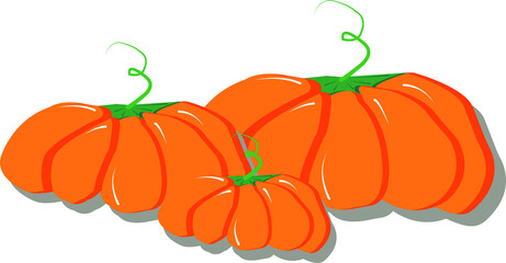
Three orange pumpkins of different sizes