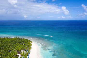 Fototapeta na wymiar Saona island with coconut palm trees and turquoise caribbean sea. Dominican Republic. Aerial view