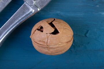 a cracked walnut on a blue concrete or slate background. healthy nut food for the brain. The concept of the background of fresh walnuts. top view. A natural product.