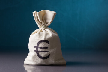 Money bag with Euro symbol over blue background with copy space