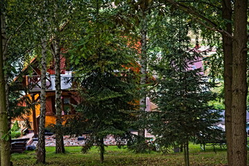 Drewniana rezydencja ( dom) wśród drzew  na wzgórzu . A wooden residence (house) among the trees...