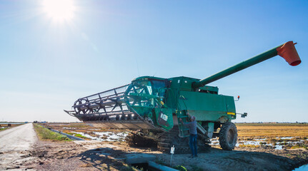 Mature Farmer Getting Off the Combine Harvester Parked On The Side Of The Road After Harvesting Mature Rice.