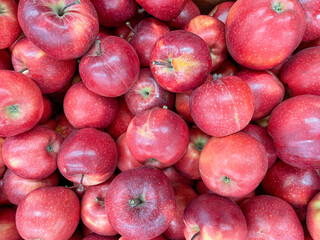 Close up of red apples on the market. Vegan background.