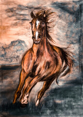 Pferd rennt in der Abendstimmung - Zeichnung und Aquarell