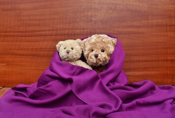 teddy bear under purple blanket 
