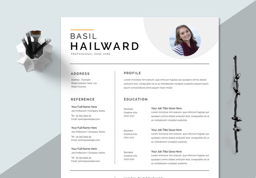 Clean Professional Resume Layout