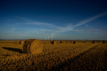 Paysage campagne 1072