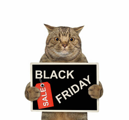 A beige cat is holding a poster that says black friday. White background. Isolated.