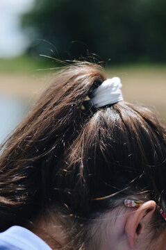 Vertical Closeup Shot Of A Female's Brown Hair Tied With A White Scrunchie In A Ponytail