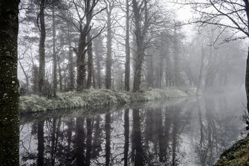 Foggy Dull Day at Irish Canal