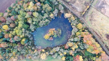 Autumn Forest with Lake