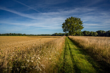 Paysage campagne 1073
