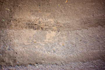 Texture Of Dusty Soil With Debris.
