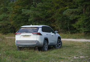 white Toyota RAV4 Excel 2019 sport utility vehicle covered in dust, in a grass field
