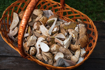 raw porcini mushrooms in a wooden basket, shallow depth of field