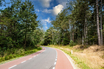 Fototapeta na wymiar Highway through summer forest. Green trees beside of road going in the upward.