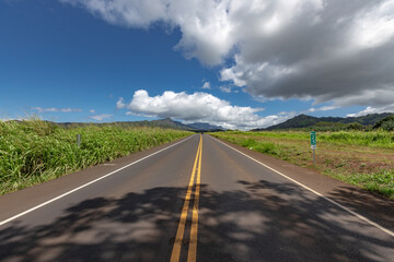 Maluhia Road, Kauai, Hawaii